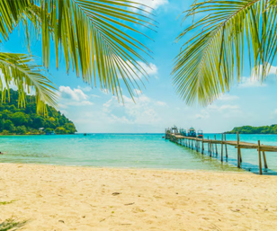 Scenic Sailings